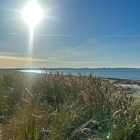 In With Sauna Ferienhaus